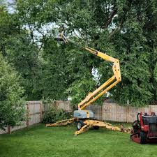 Best Emergency Tree Removal  in Greentown, OH